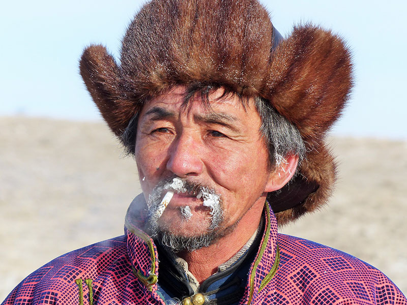 Mongolei, Steppenfuchs