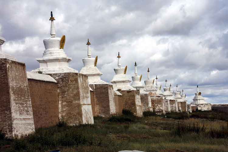 111-2 Mongolei, Steppenfuchs