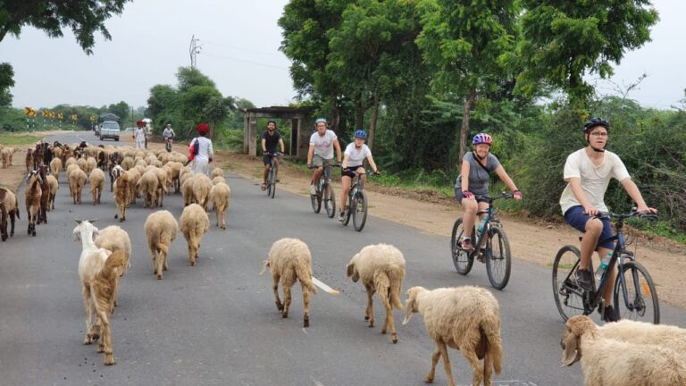 Rajasthan per Rad entdecken Radreise Rundreise
