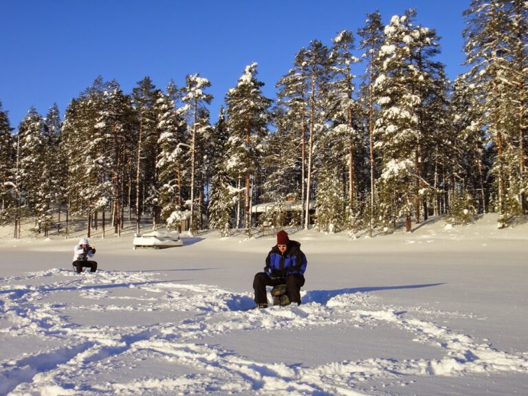 Husky Safari Finnland