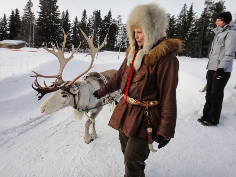 Husky Safari Finnland