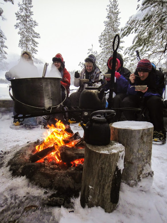 Husky Safari Finnland