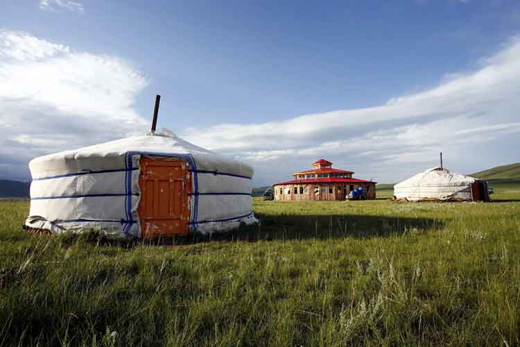 61-2 Mongolei, Steppenfuchs