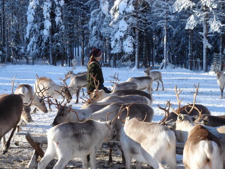 Saija Lodge Finnland Lappland,
