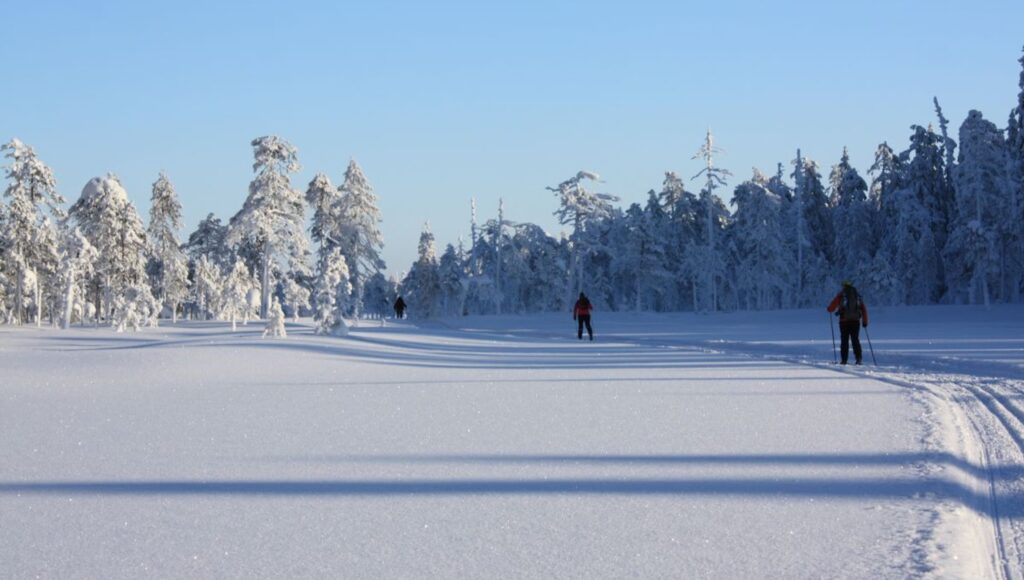 Hossa Nationalpark Skilanglauf Reise Finnland, Foto: Upitre