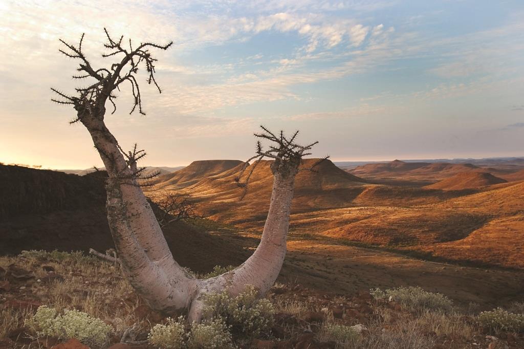 Entdeckungsreise Namibia 13 Tage