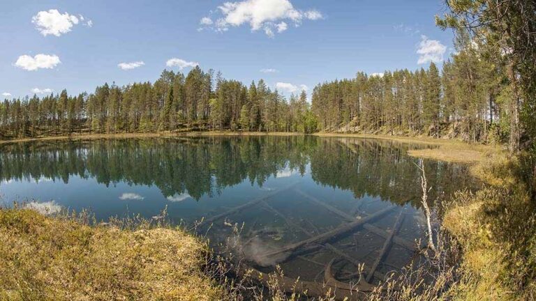 Wanderreise Finnisch Karelien Finnisch Karelien Seenlandschaft