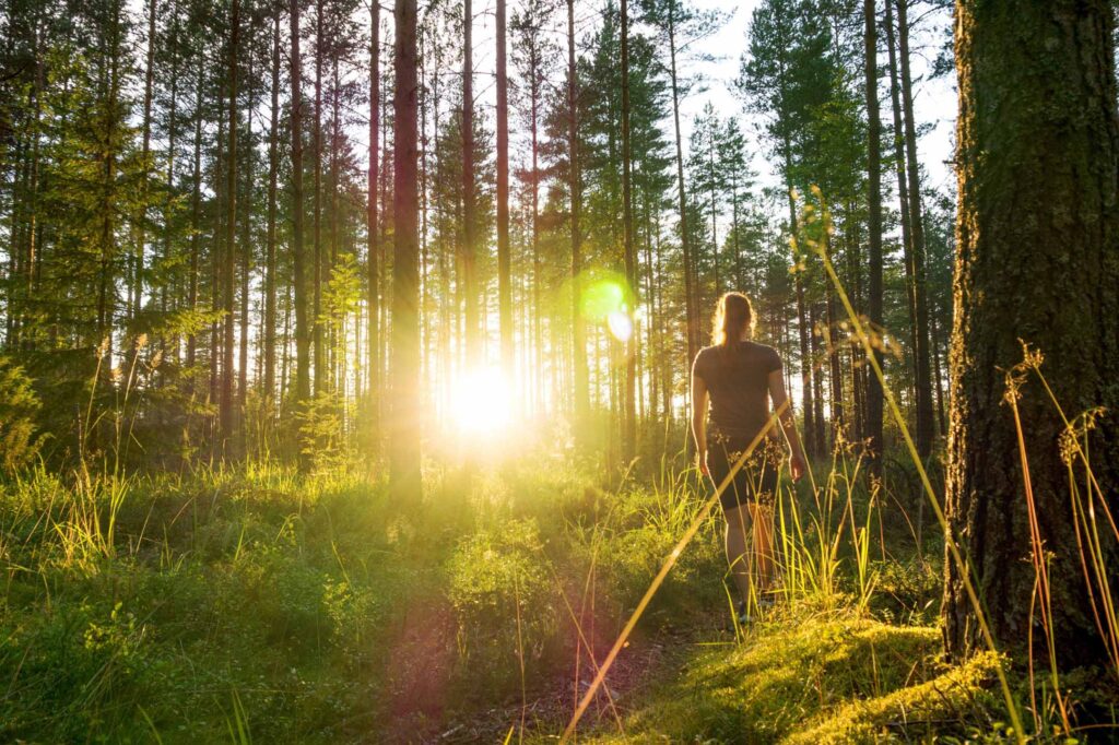 Wanderreise Finnisch Karelien Ausblicke