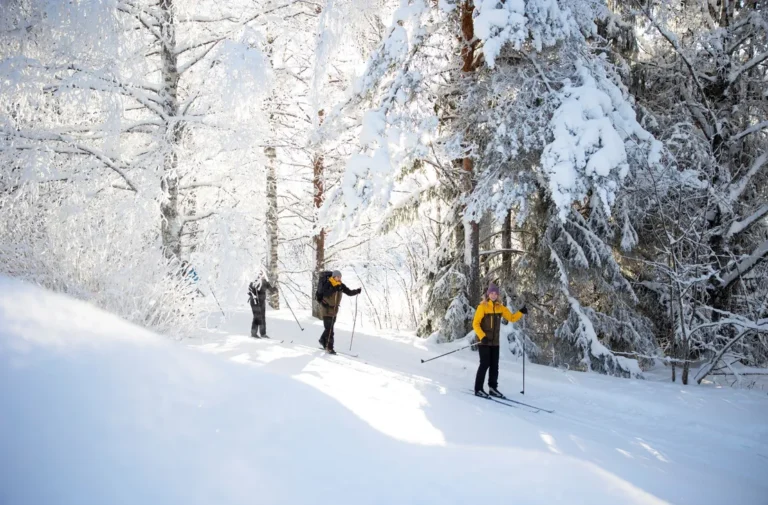 aeksyt_ammat Skilanglauf Nordkarelien Finnland Winterreise
