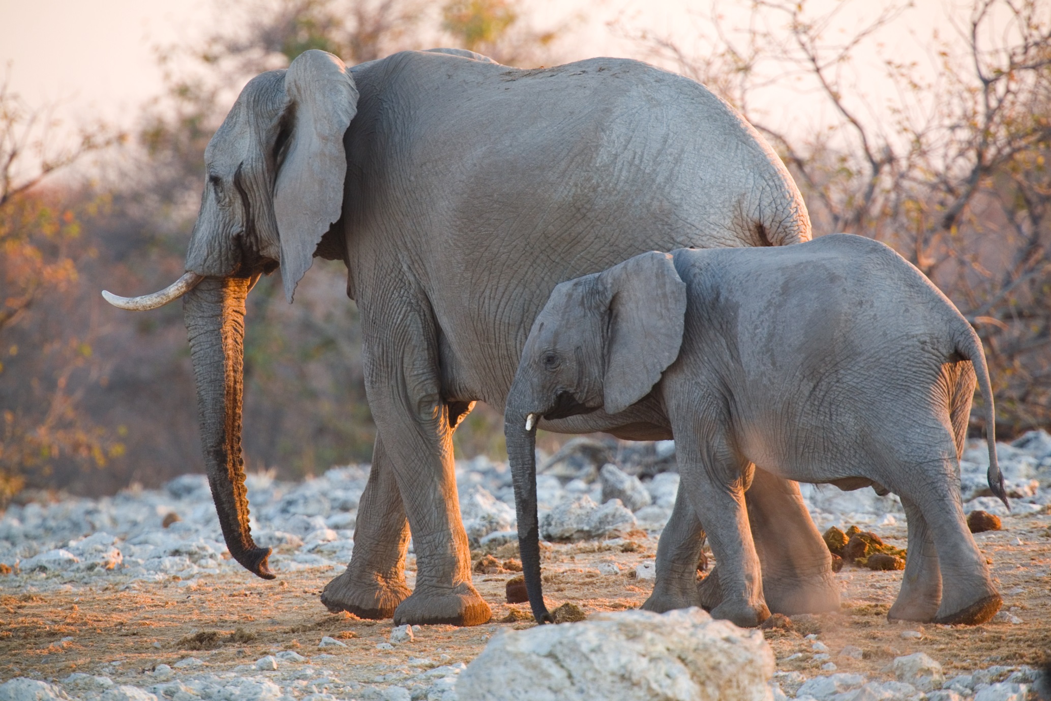 Namibia Wissenswertes und Informationen