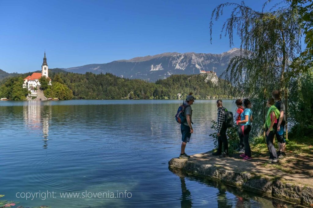 Insel Bled Slowenien mit Schloss