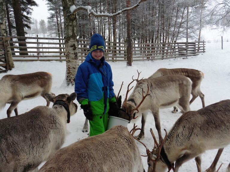 Husky Safari Finnland