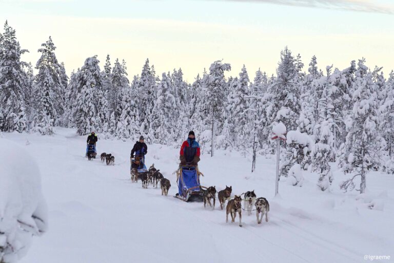 Arctic Retreat Schweden Graeme Richardson