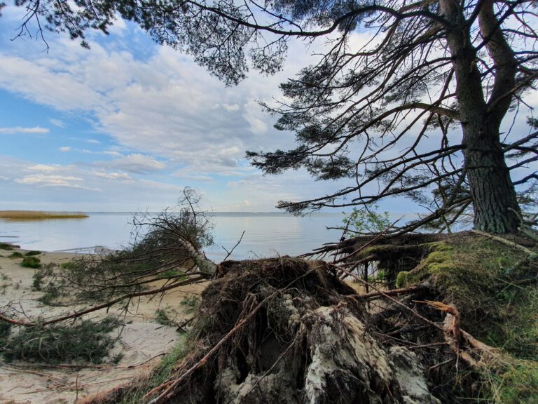 Kurische Nehrung Foto: Baltic Bike