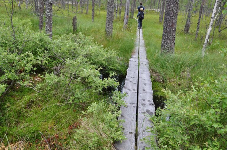 Eräkeskus Karelian Explorer Individuell Wanderung Karhunpolku Eräkeskus Wilderness Lodge