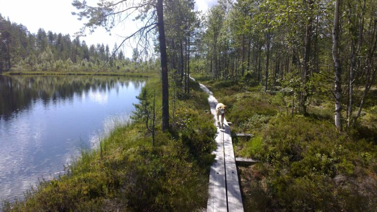 Eräkeskus Wildnerniss Lodge, Karelien Urlaub Finnland