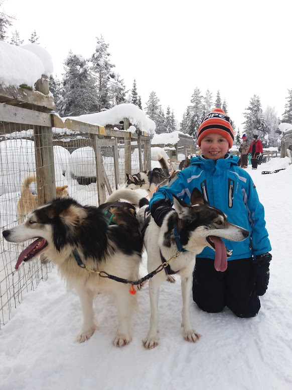 Finnland, Lappland, Winterreise, Huskyschlitten
