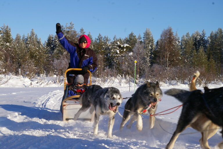 Husky Safari Finnland Husky Safari Finnland