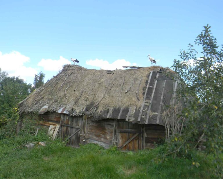 Radreise-Polen-Masuren-Störche