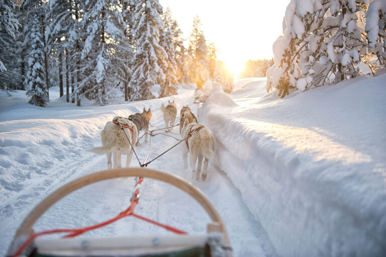 Husky Tour Winterreise Finnland Ruka