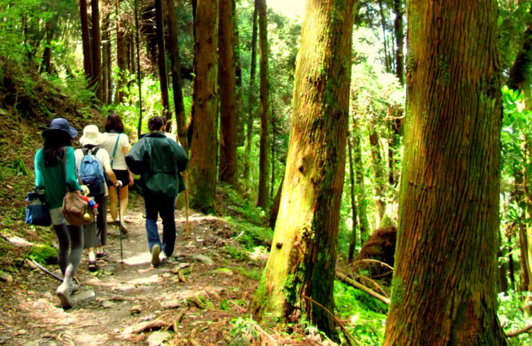 shei-pa-nationalpark-taiwan Shei-pa Nationalpark Taiwan