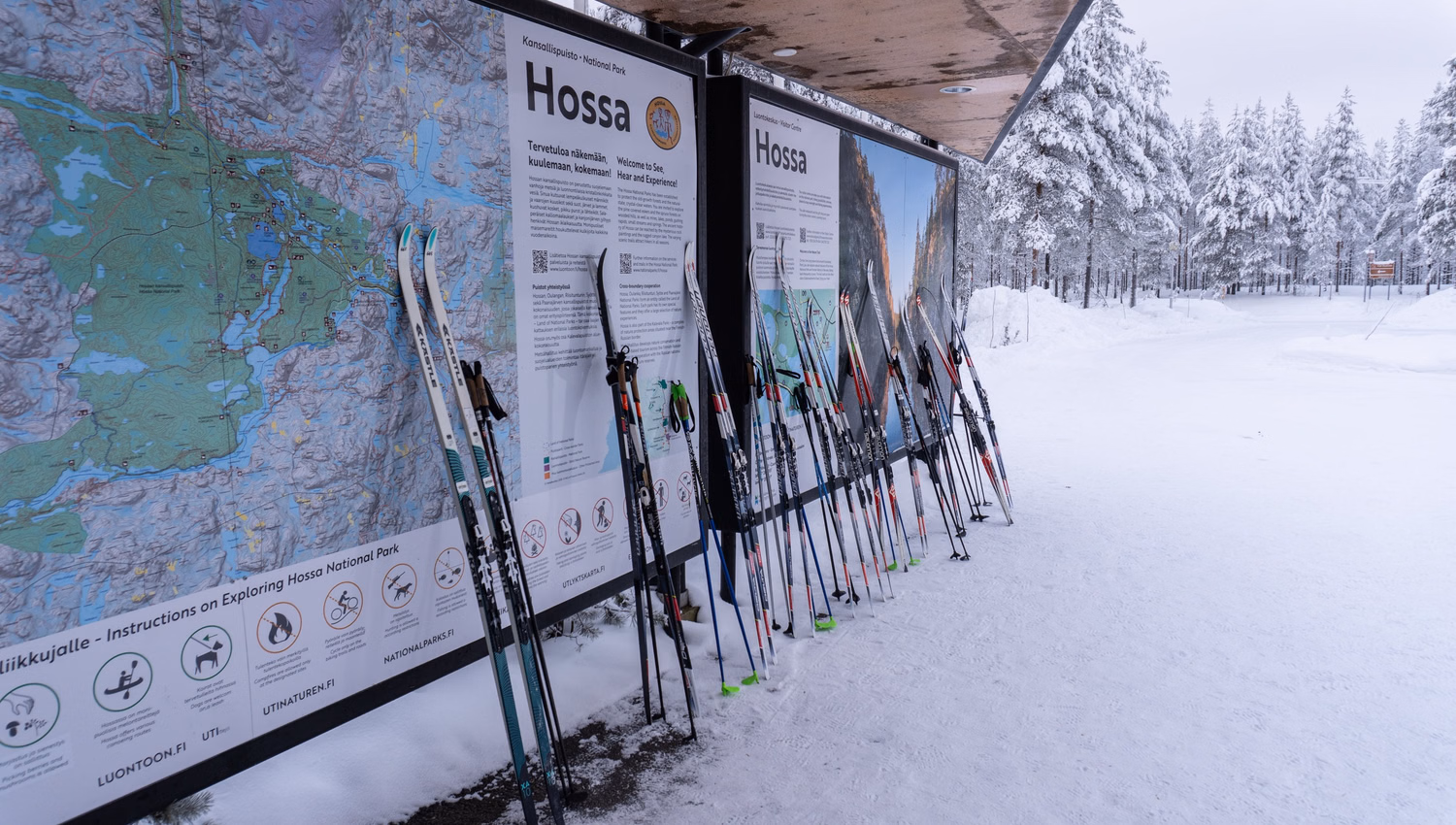 Skilanglauf in Finnland: Geführte Tour durch den Hossa-Nationalpark