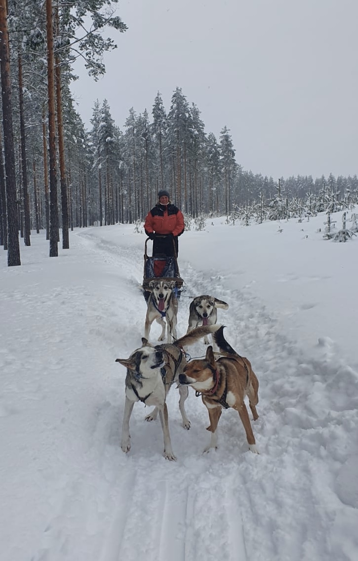 Eräkeskus Wilderness Lodge Eräkeskus Wilderness Lodge und Husky Farm