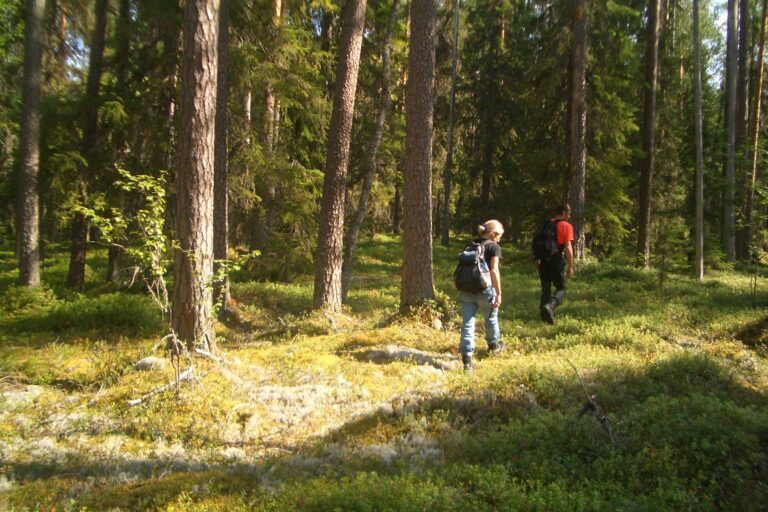 Eräkeskus Wildnerniss Lodge, Karelien Urlaub Finnland