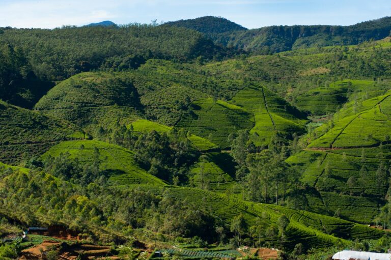Nuwara Elya Sri Lanka, Pexels