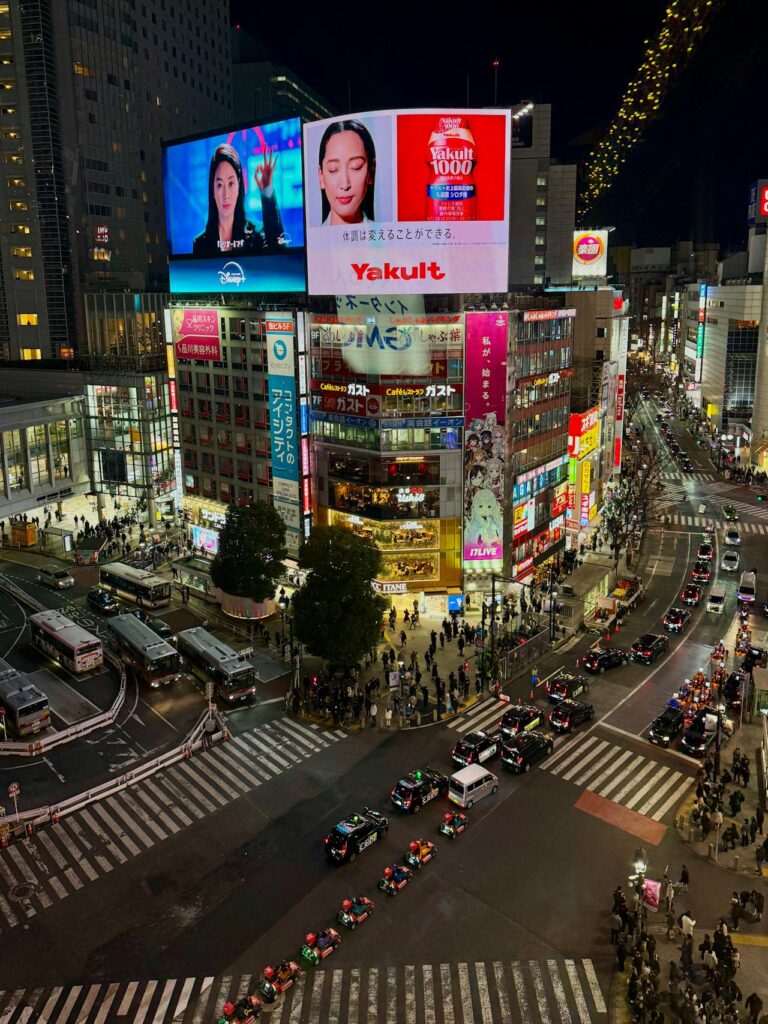 Japan Rundreise Go East Tokio