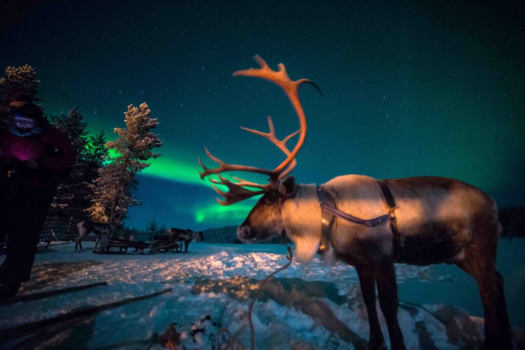 Salla Finnland Go East Reisen