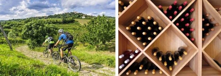 weinbike2-2 Radreise Slowenien Rad und Wein
