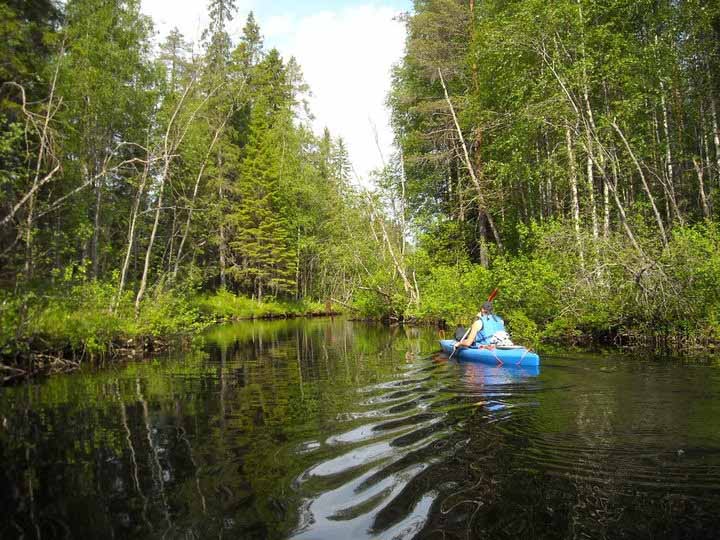 Eräkeskus Wildnerniss Lodge, Karelien Urlaub Finnland
