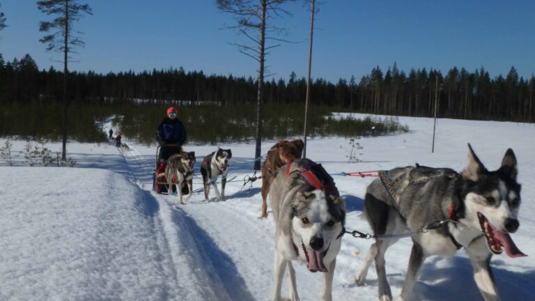Eräkeskus Wilderness Lodge Eräkeskus Wilderness Lodge Husky Farm